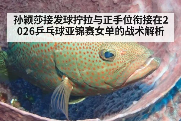 孙颖莎接发球拧拉与正手位衔接在2026乒乓球亚锦赛女单的战术解析